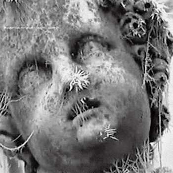 Album Maarten van der Vleuten: Are You Worthy ?