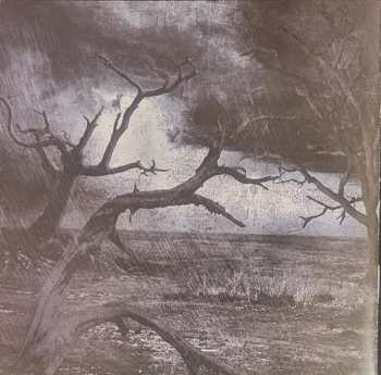 CD Magellan: Symphony For A Misanthrope