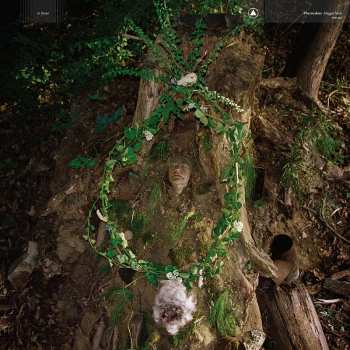 LP Pharmakon: Maggot Mass