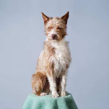 Album Makez: Different Planets