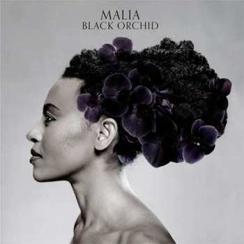 CD Malia: Black Orchid