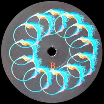 2LP Manu Delago: Circadian Live