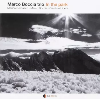 Marco Boccia Trio: In The Park