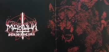 LP Marduk: Strigzscara - Warwolf LTD | CLR