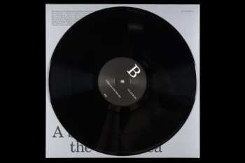 LP Mats Erlandsson: Celestial Shores LTD