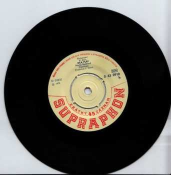 SP Marie Rottrová: Baby, Vítej K Nám / Bílá Pláž