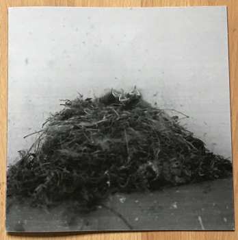 LP Marode: Risse LTD