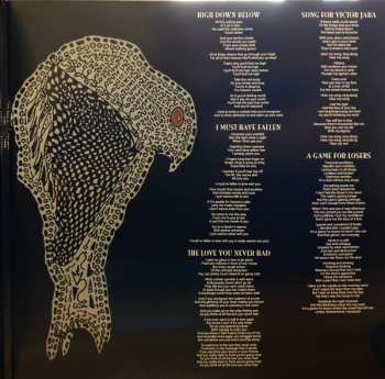 LP Marty Willson-Piper: Nightjar CLR | LTD