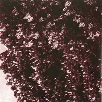 CD Martyn Bates: Dance Of Hours