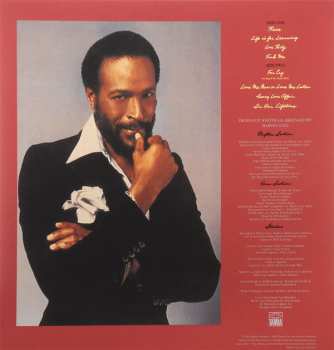 LP Marvin Gaye: In Our Lifetime
