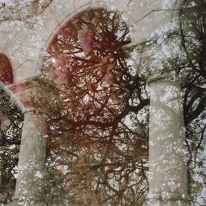 LP Mary Lattimore: Gainer CLR | LTD