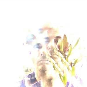 LP Matthew Himes: Hemlock & Bergamot LTD