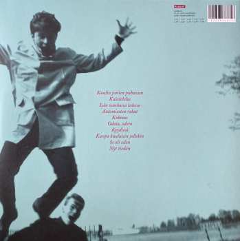 LP Matti Johannes Koivu: Puuhastellen