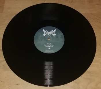 LP Mayhem: Out From The Dark