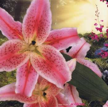 CD Mediæval Bæbes: Undrentide