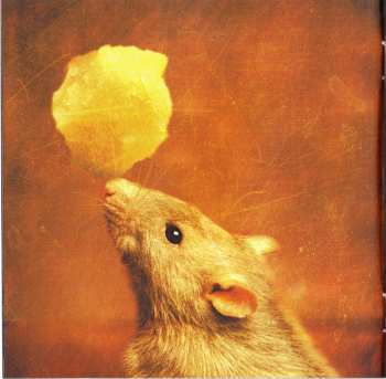 CD Megadeth: Risk