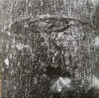 LP Merzbow: Nocturnal Rainforest