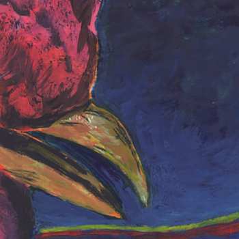 Album Merzbow: Plasma Door