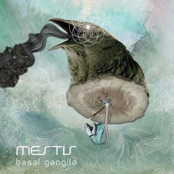 CD Mestis: Basal Ganglia