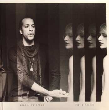 LP Metric: Synthetica