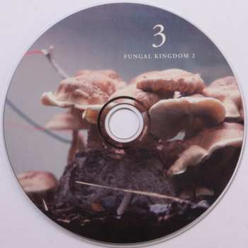 3CD/Coffret Michael Prime: Bioelectrical Music