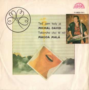 SP Michal David: Teď Jsem Tady Já / Takovýho Chci Tě Mít