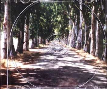 CD Michy Reincke: Album