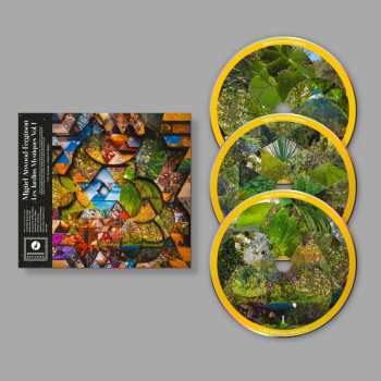 3CD Miguel Atwood-Ferguson: Les Jardins Mystiques Vol.1 (3cd)