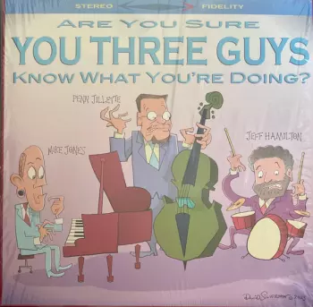 Are You Sure You Three Guys Know What You're Doing?