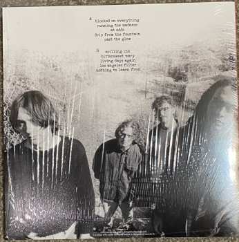 LP Milly: Your Own Becoming LTD