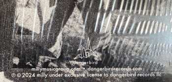 LP Milly: Your Own Becoming LTD