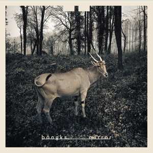 Album Bängks: Mirror