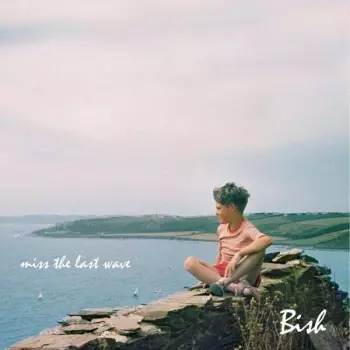 Miss The Last Wave