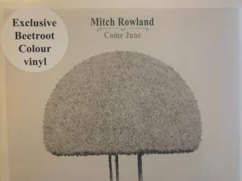 LP Mitch Rowland: Come June