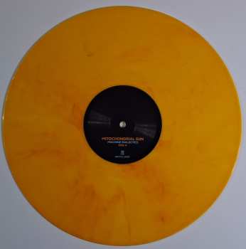 LP Mitochondrial Sun: Machine Dialectics CLR | LTD