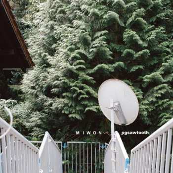 Album Miwon: Jigsawtooth