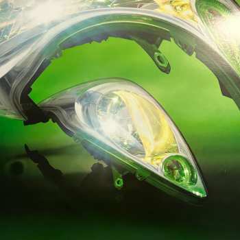 LP ML Buch: Skinned LTD