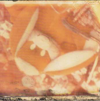 CD Modest Mouse: Sad Sappy Sucker