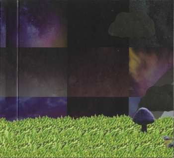 CD Modest Mouse: The Golden Casket DLX