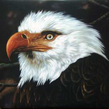 2LP Mogwai: The Hawk Is Howling