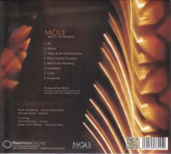 CD Mole: What's The Meaning?