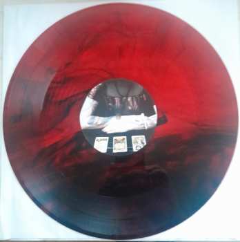 LP Molly Vulpyne: Amortise CLR | LTD