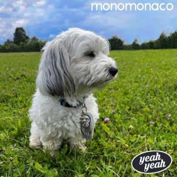 LP Monomonaco: Yeah Yeah
