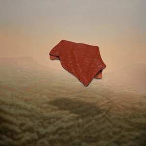 CD Mooneye: Come With Me And Hide DIGI