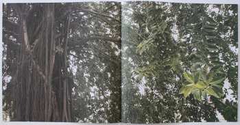 LP Moreno Veloso: Coisa Boa