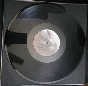 LP Morild: Disse Fugle Får Ingen At Se