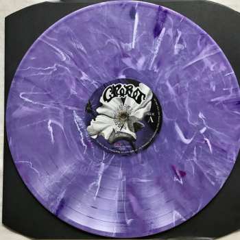 LP Crobot: Motherbrain LTD | CLR