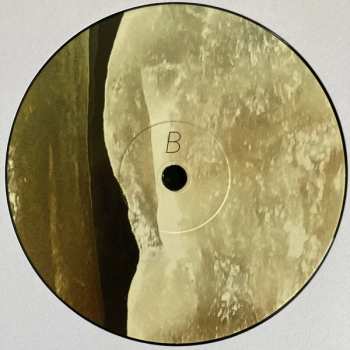LP Motte: Cold + Liquid