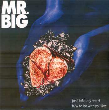 5SP Mr. Big: Lean Into It - The Singles PIC | LTD | CLR