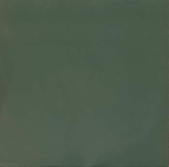 LP mt.fujitive: Afterlife CLR | LTD